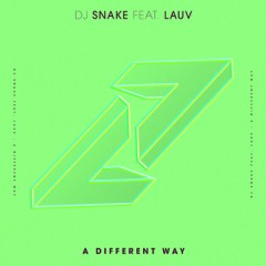 A Different Way - Dj Snake feat. Lauv
