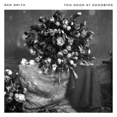 Too Good At Goodbyes (Remix) - Sam Smith