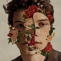 Like To Be You - Shawn Mendes feat. Julia Michaels