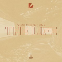The Life (Remix) - Plastik Funk & Mr V