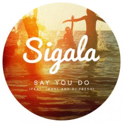 Say U Do - Sigala feat. Imani & Dj Fresh