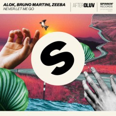 Never Let Me Go - Alok & Bruno Martini feat. Zeeba