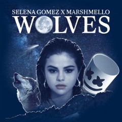 Wolves - Selena Gomez & Marshmello