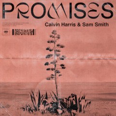 Promises - Calvin Harris & Sam Smith