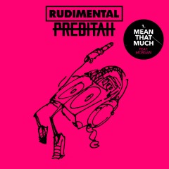 Mean That Much - Rudimental & Perditah feat. Morgan