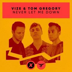 Never Let Me Down - VIZE & Tom Gregory