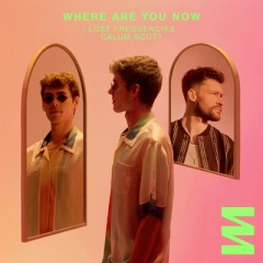 Where Are You Now - Lost Frequencies & Calum Scott