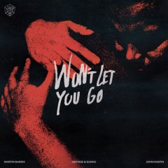 Won't Let You Go - Martin Garrix, Matisse & Sadko feat. John Martin