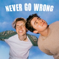Never Go Wrong - Nicky Youre & David Hugo