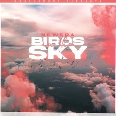 Birds In The Sky - Newera
