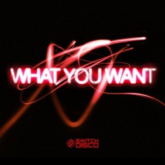 What You Want - Switch Disco