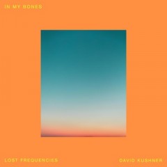 In My Bones - Lost Frequencies & David Kushner