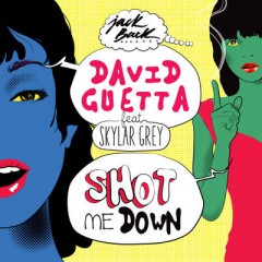 Shot Me Down - David Guetta feat. Skylar Grey