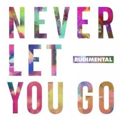 Never Let You Go - Rudimental